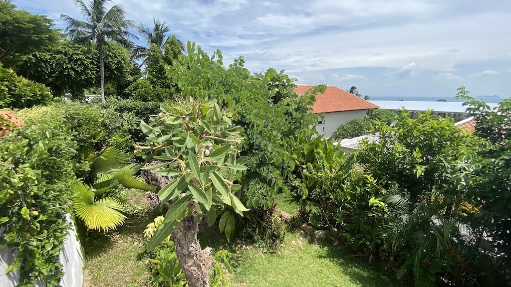 Koh Samui Property For Sale In Bang Po View