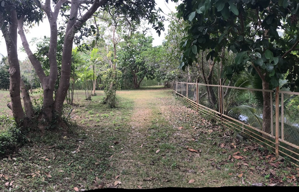 Koh Samui Riverside Land