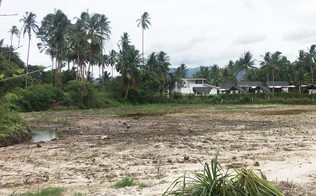 Koh Samui Riverside Land
