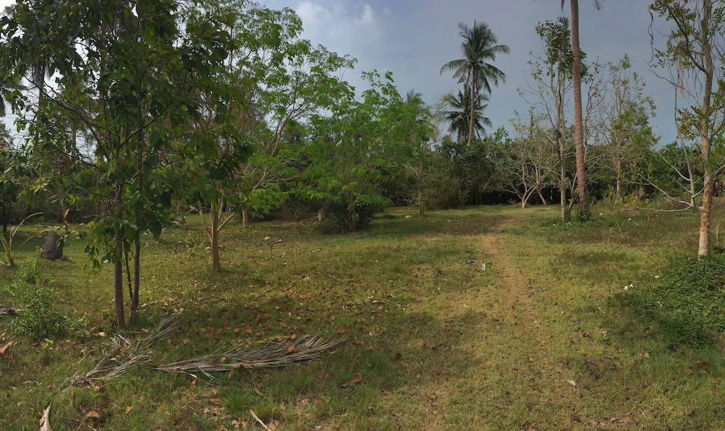 Koh Samui Riverside Land