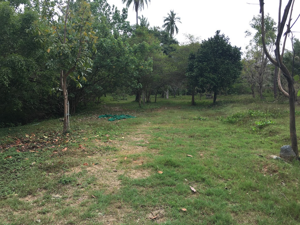 Koh Samui Riverside Land