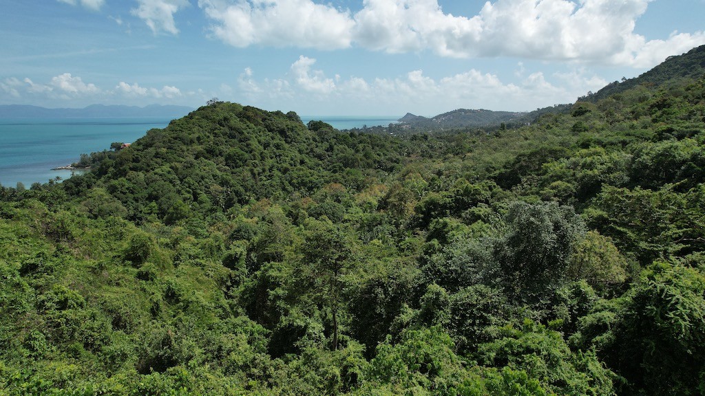 Koh Samui Sea View LAnd Bang Po Surroundings