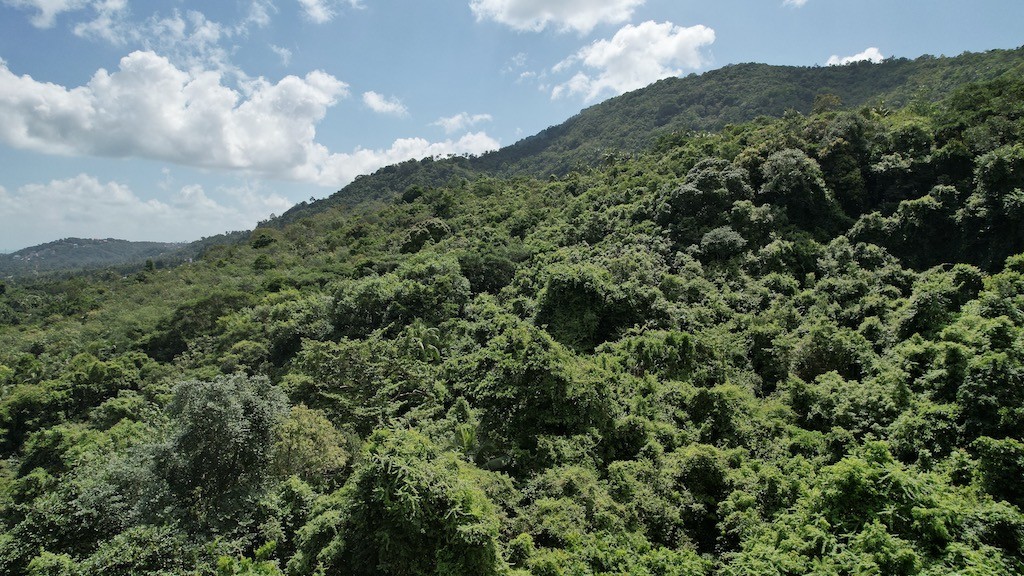 Koh Samui Sea View Land Bang Po Hillside