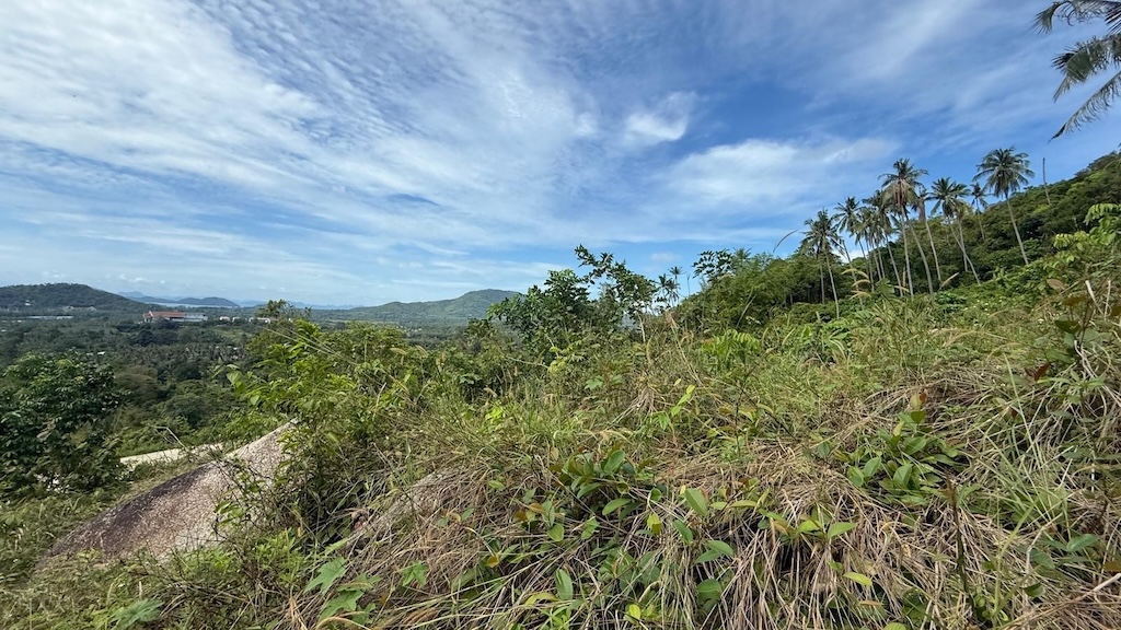 Koh Samui Sea View Land For Sale In Lamai