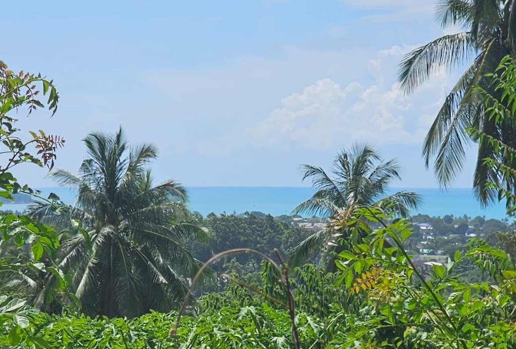 Koh Samui Sea View Land In Chaweng