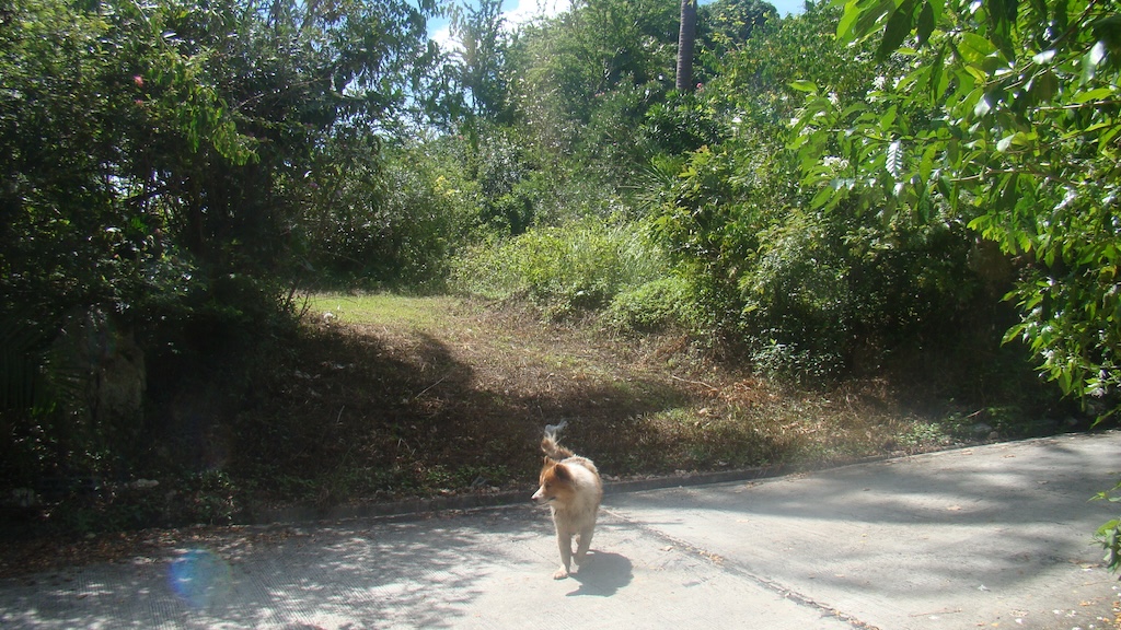 Koh Samui Sea View land In Taling Ngam Access