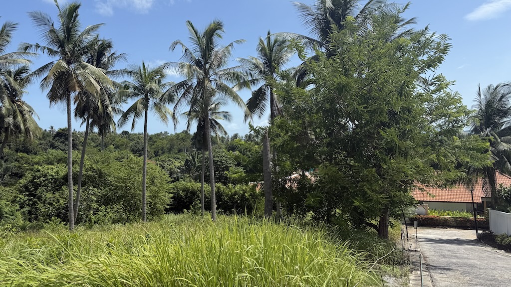 Koh Samui Sea View Land In Bangrak road
