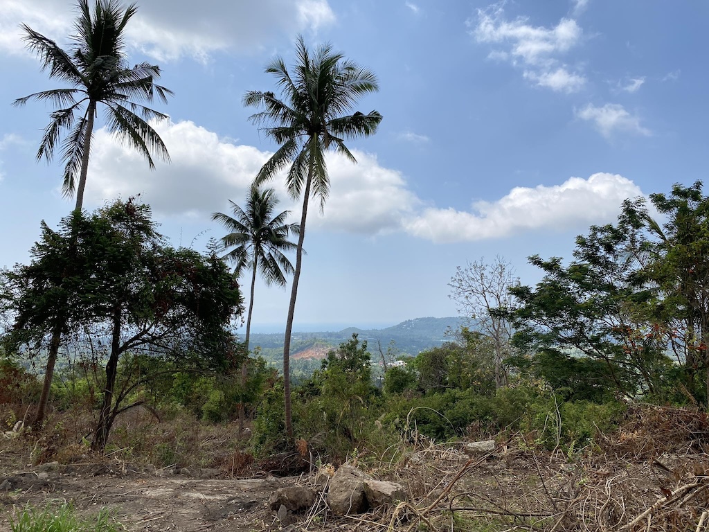 Koh Samui Sea View Na Muaeng Land For Sale