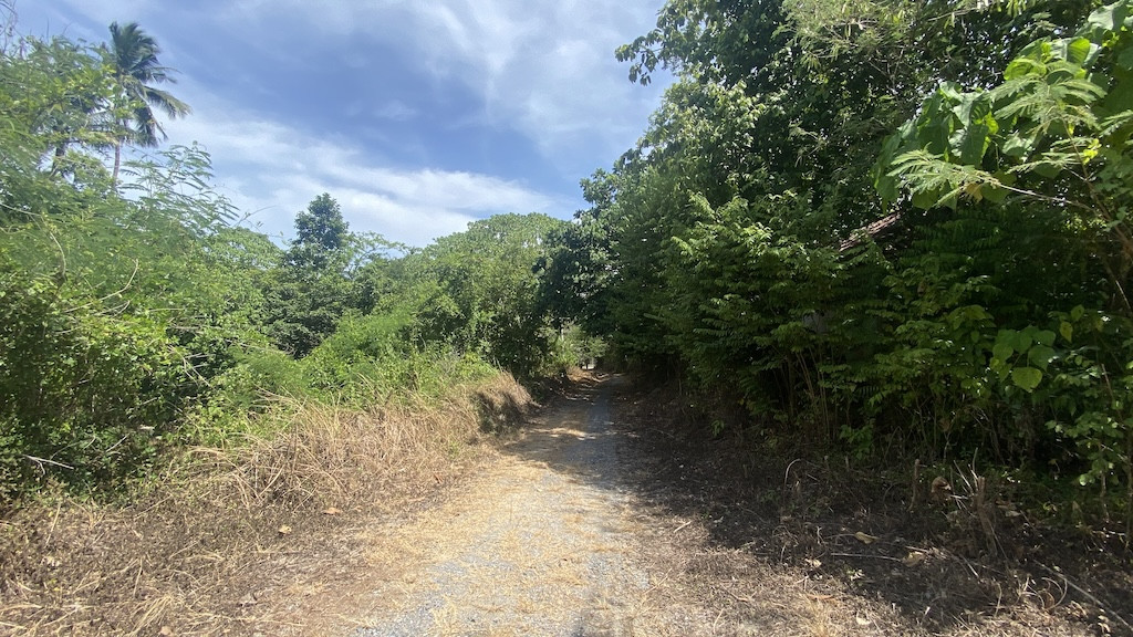 Koh Samui Taling Ngam Land