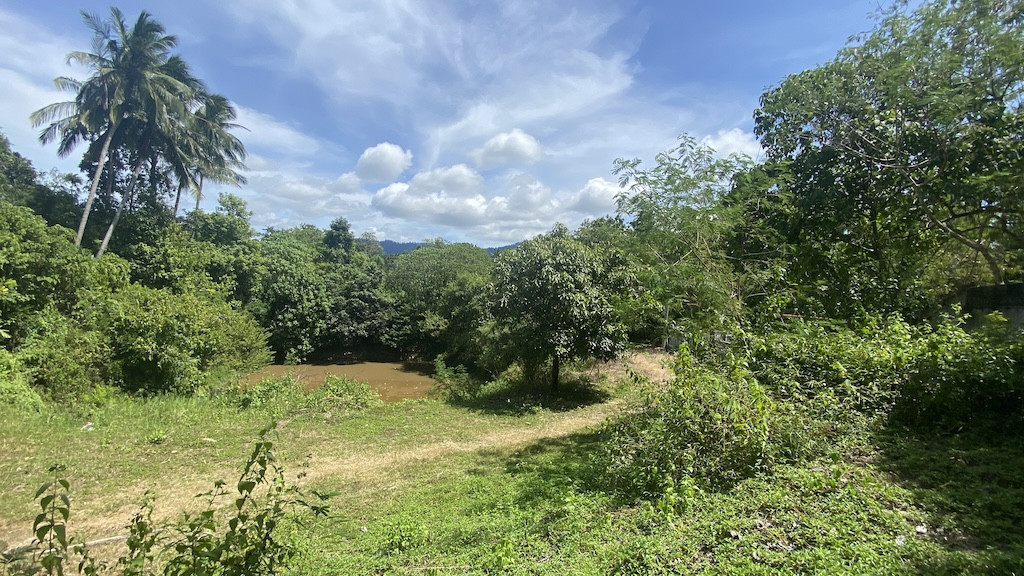 Koh Samui Taling Ngam Land