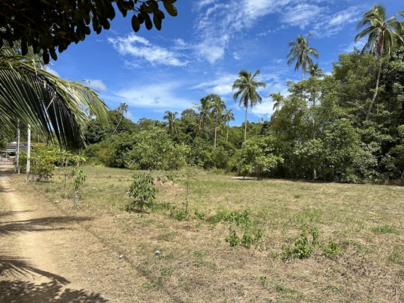 Koh Samui Taling Ngam Land For Sale