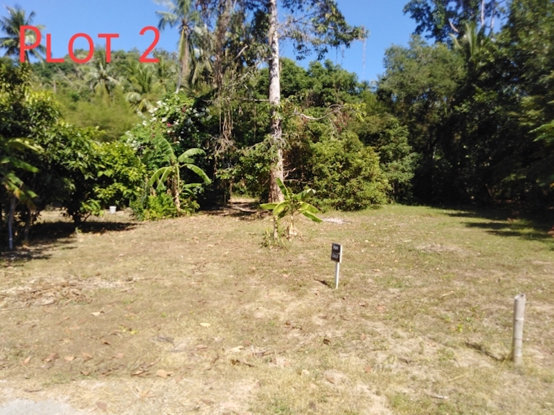 Koh Samui Land For Sale