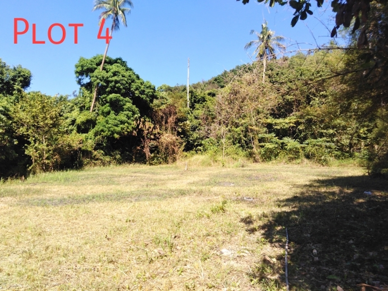 Plot 4