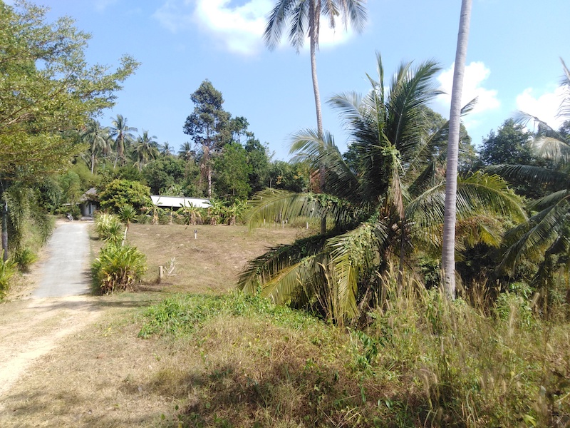 land for sale koh samui