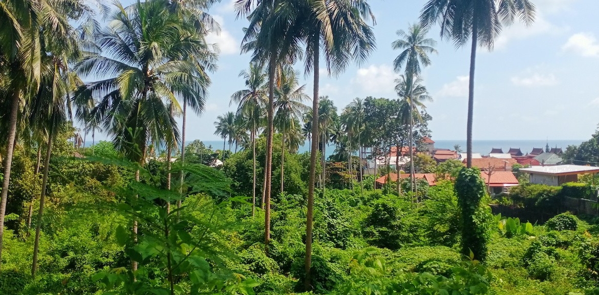 Lamai Development Land View