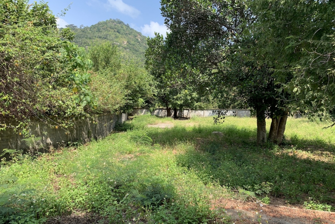 Lamai Development Land Ko Samui – Land in Koh Samui (photo 4)