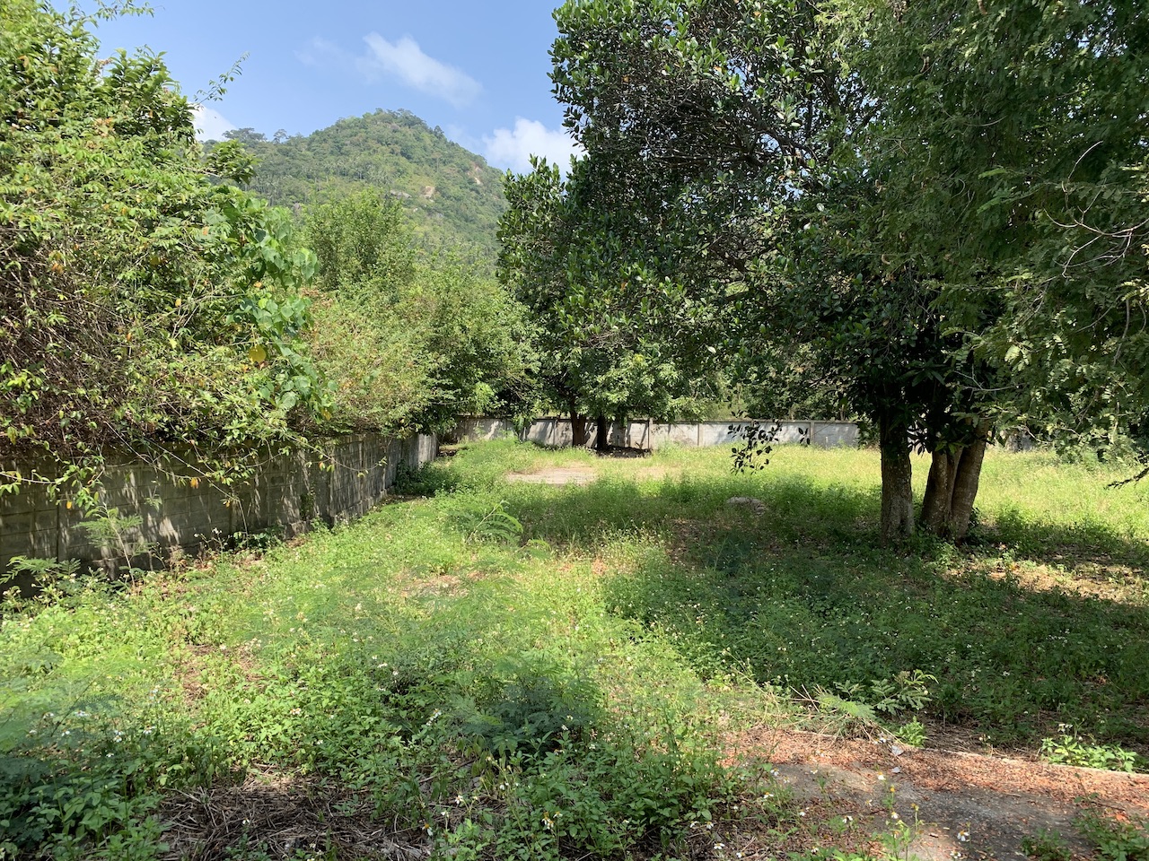 Lamai Development Land Ko Samui – image 4 Lamai Development Land Ko Samui – Land in Koh Samui (photo 4)