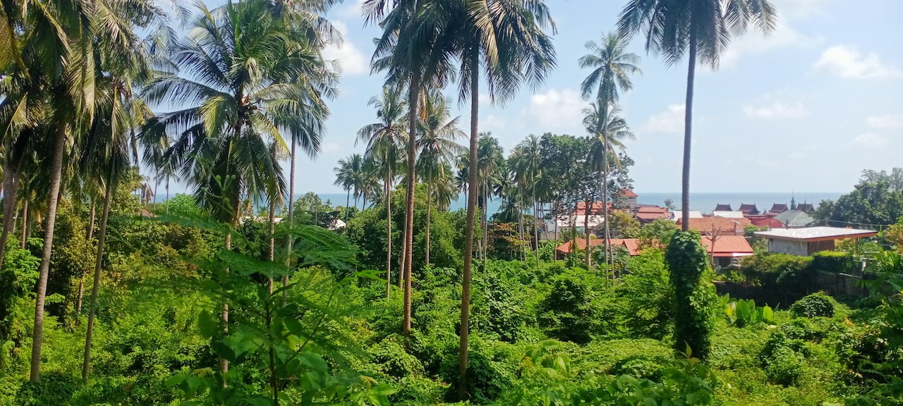 Lamai Development Land Lamai Development Land View