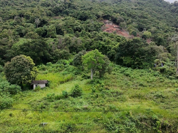 Lamai Ko Samui Land For Sale
