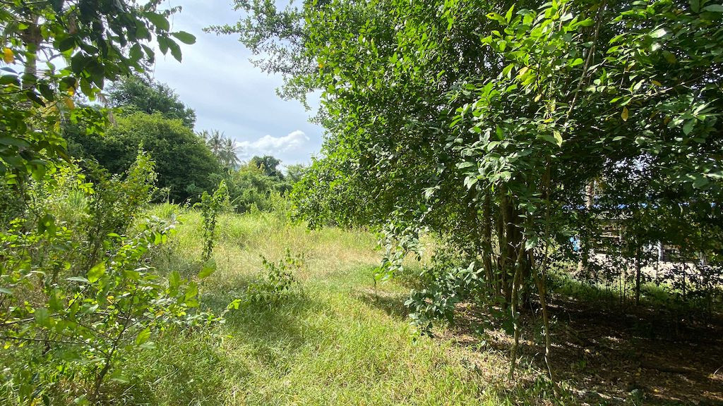 Lamai Land For Sale