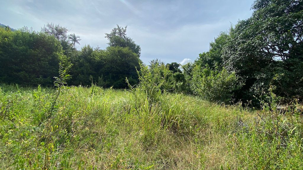 Lamai Land For Sale