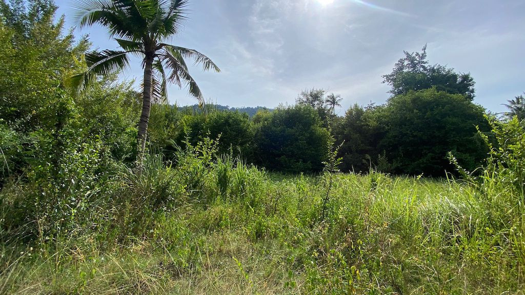 Lamai Land For Sale