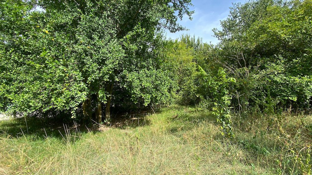 Lamai Land For Sale