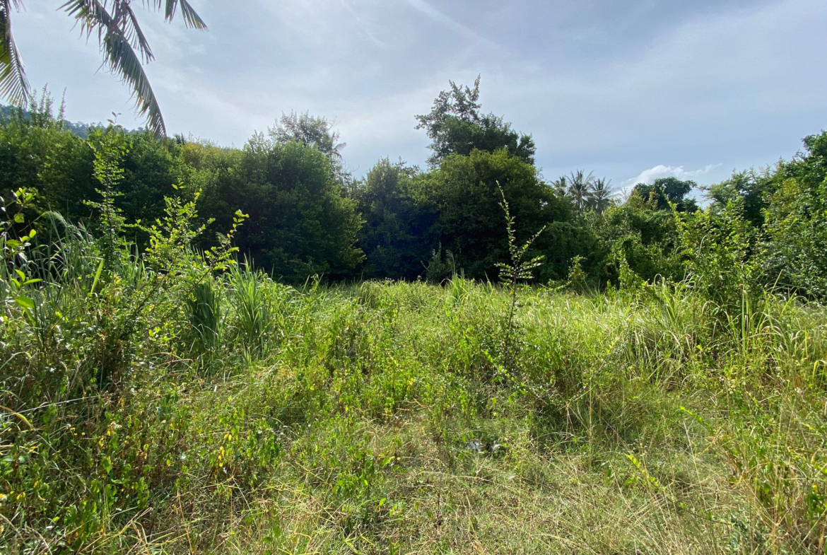 Lamai Land For Sale