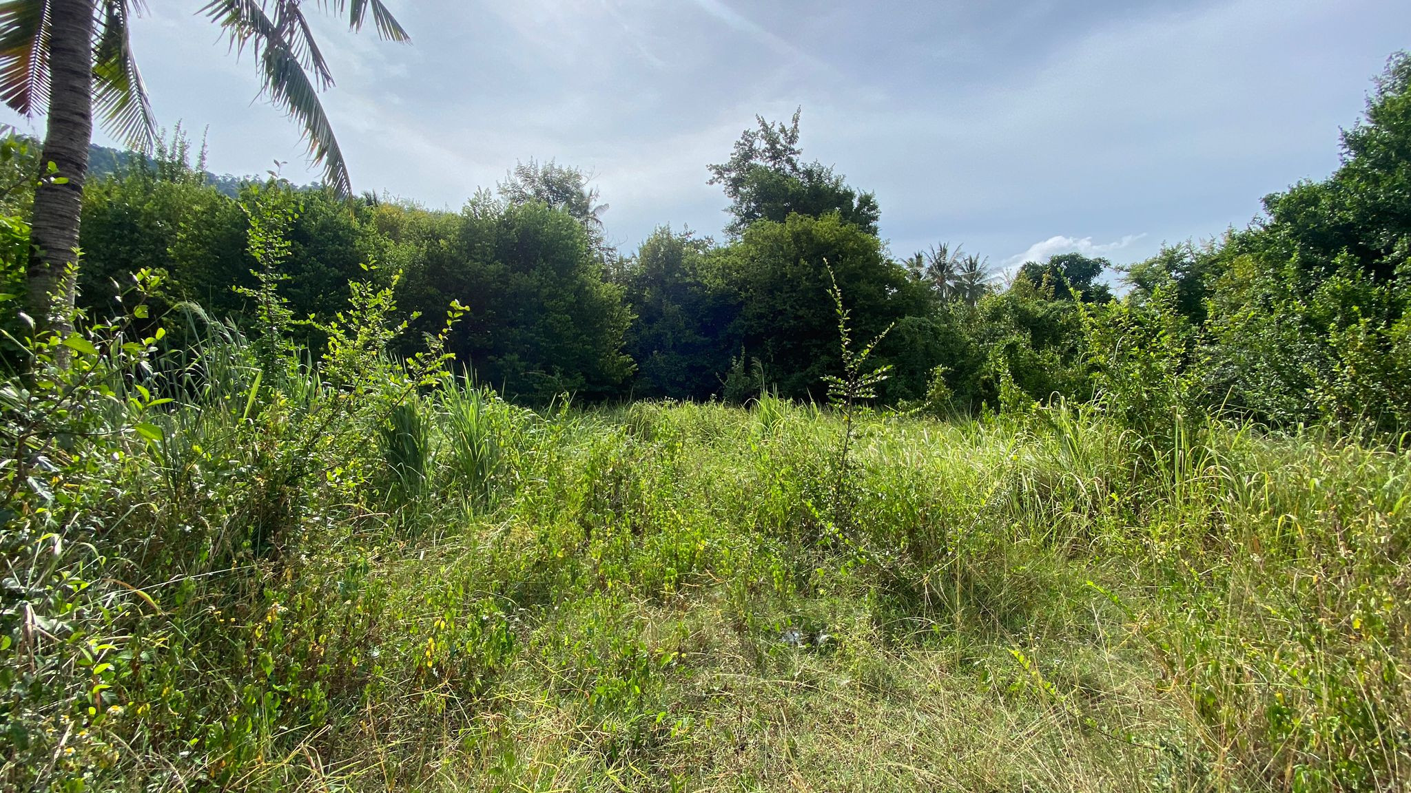 Lamai Land For Sale Lamai Land For Sale