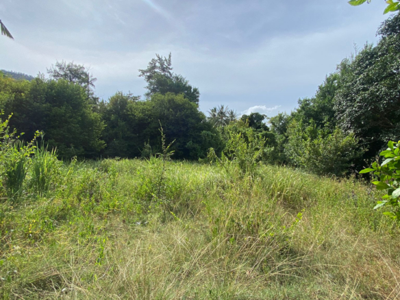 Lamai Land For Sale