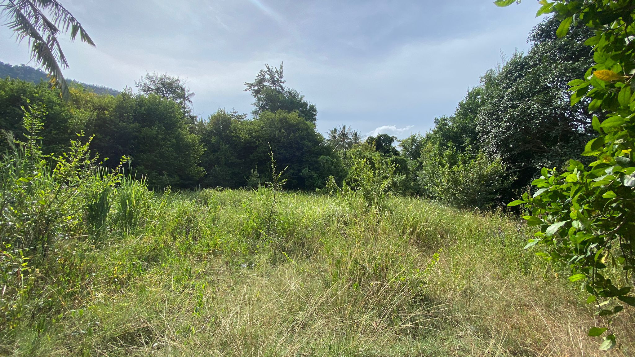 Lamai Land For Sale Lamai Land For Sale