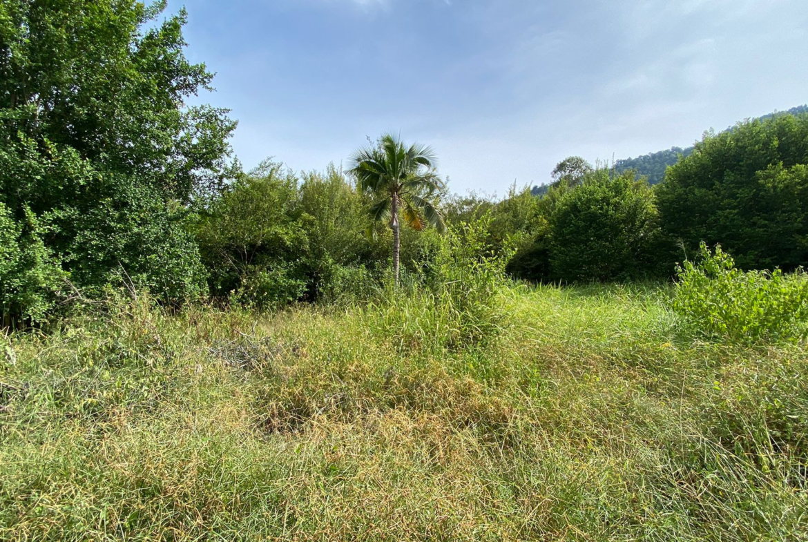 Lamai Land For Sale
