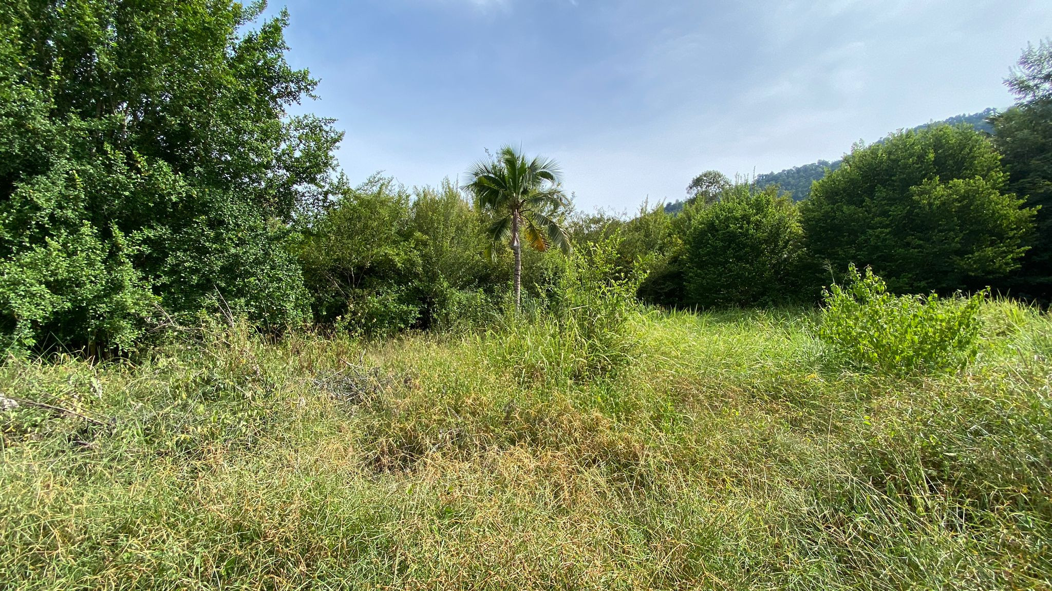 Lamai Land For Sale Lamai Land For Sale