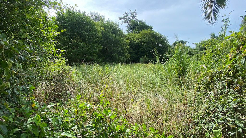 Lamai Land For Sale