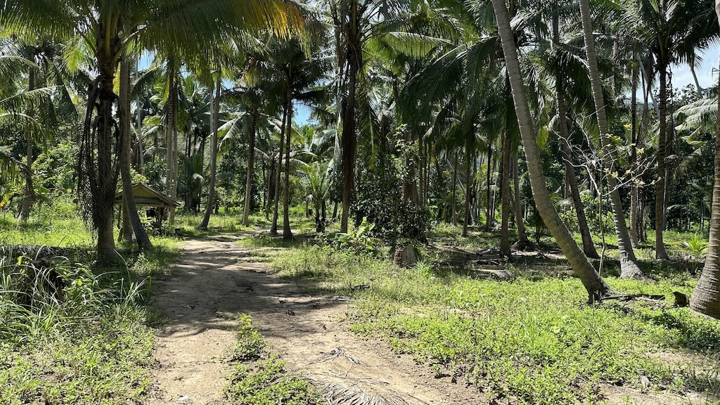 Lamai Land Ko Samui