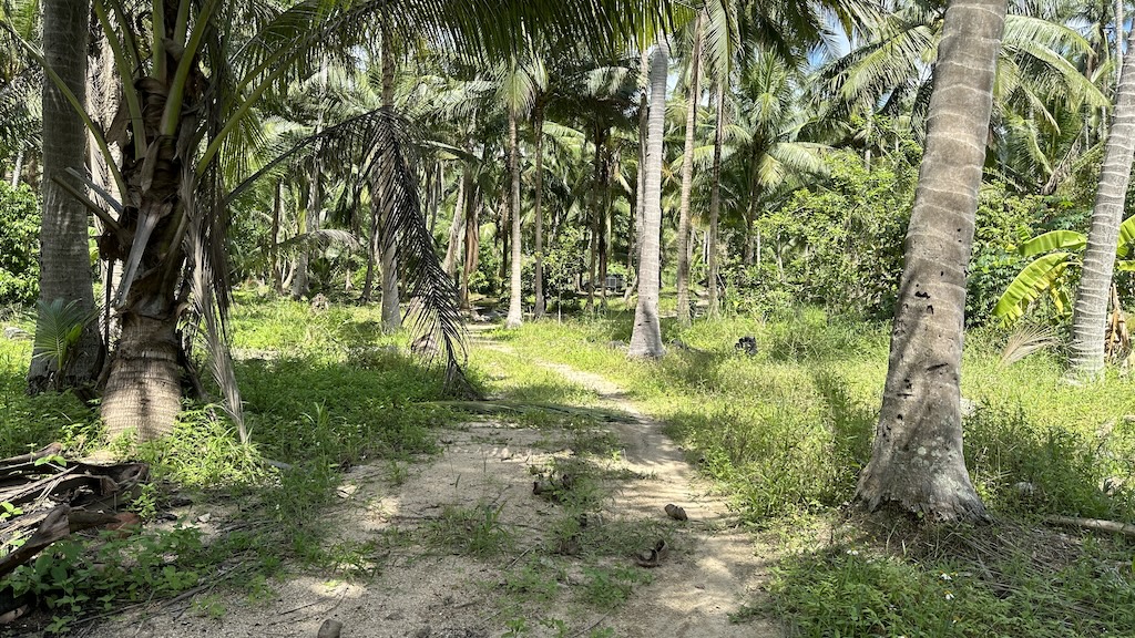 Lamai Land Ko Samui 11