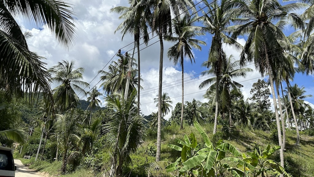 Lamai Land Ko Samui View