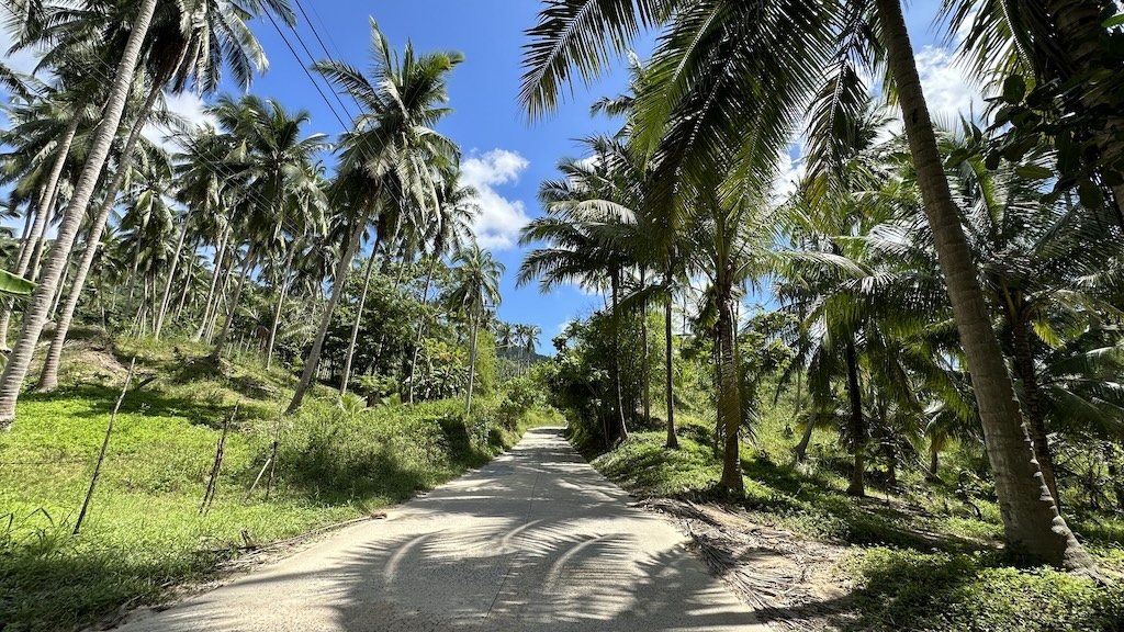 Lamai Land Ko Samui 15