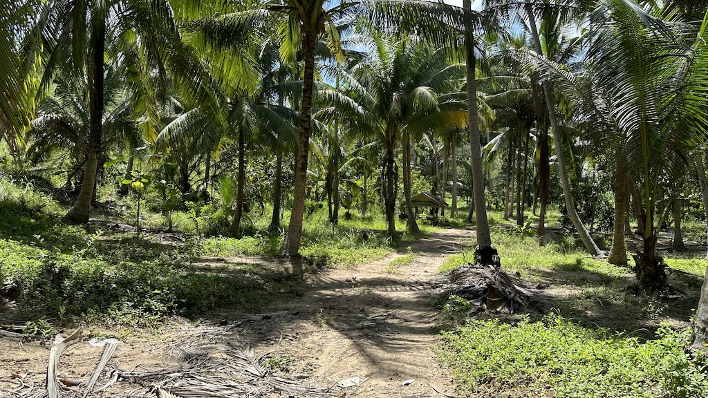 Lamai Land Ko Samui 17
