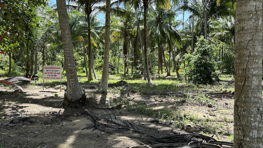Lamai Land Ko Samui 18