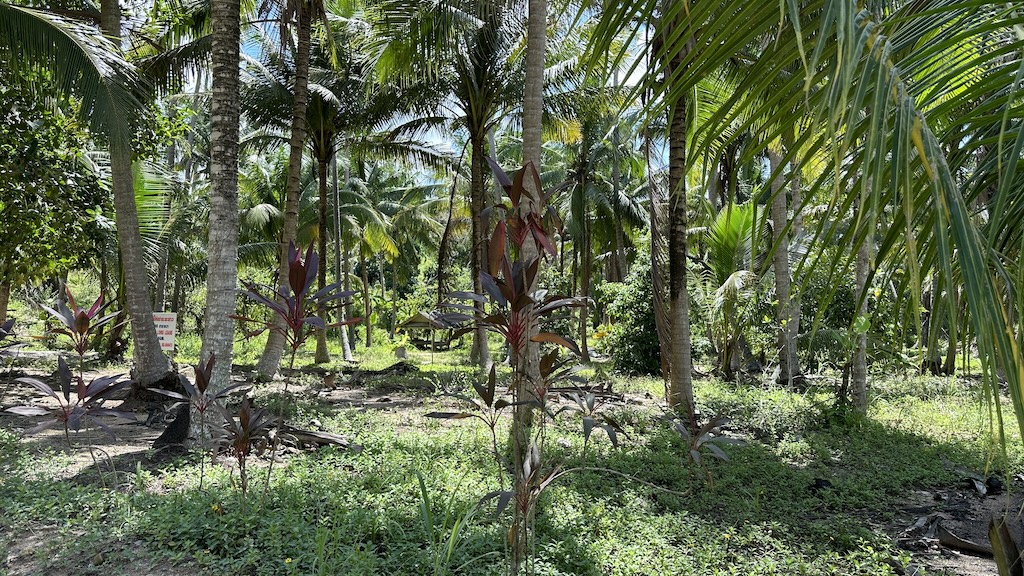Lamai Land Ko Samui 19