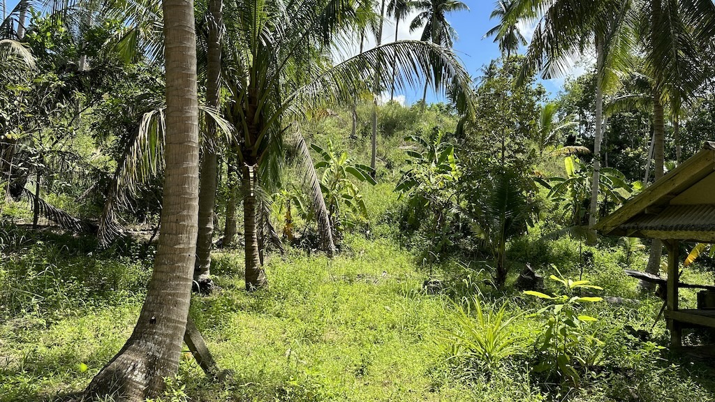 Lamai Land Ko Samui 2