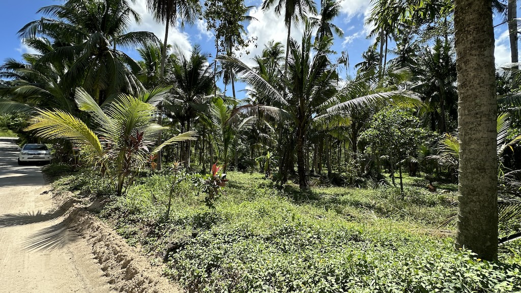 Lamai Land Ko Samui 21