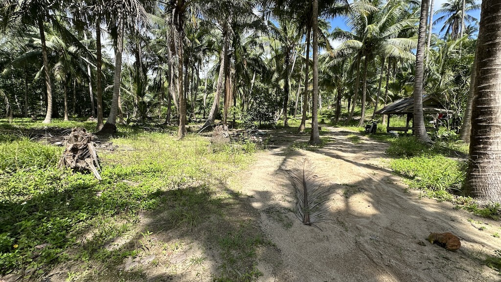 Lamai Land Ko Samui 5