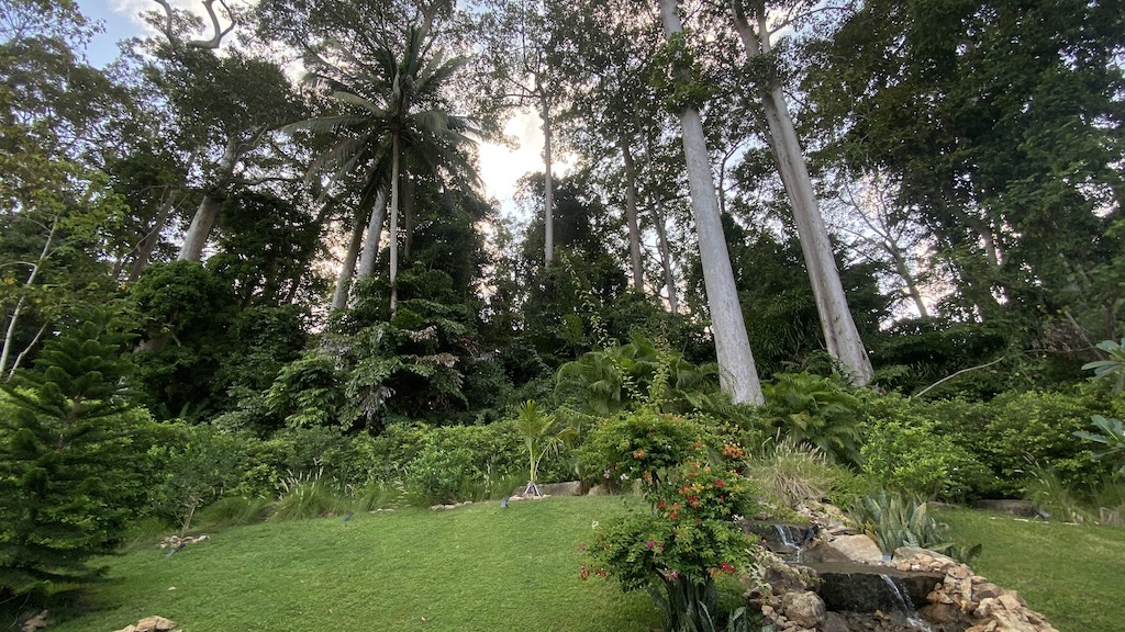 Lamai Modern Villa For Sale Garden