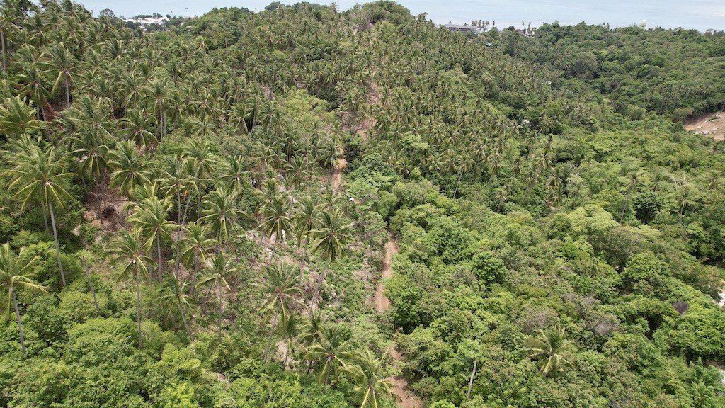 Lamai Sea View Land For Sale