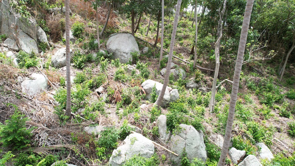Lamai Sea View Land For Sale