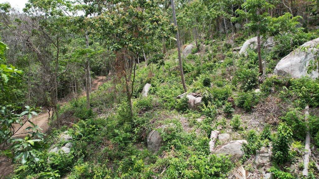 Lamai Sea View Land For Sale 3