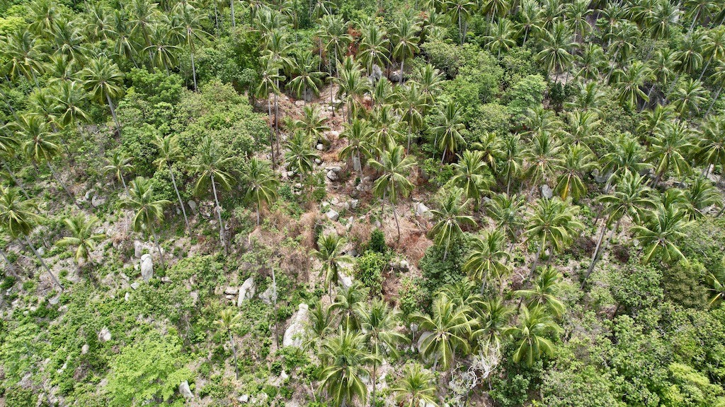 Lamai Sea View Land For Sale Aerial