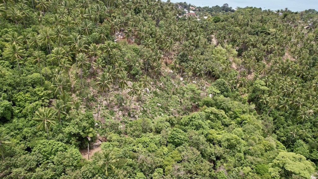 Lamai sea View Land For Sale Aerial Shot